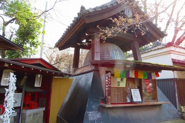 hushimi20200321-05