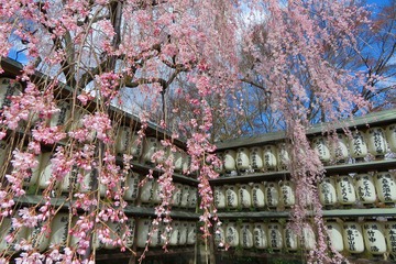 ooishijinja20200324-03