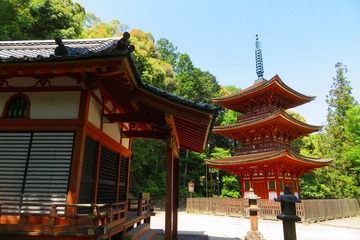 ryosenji20190525-02