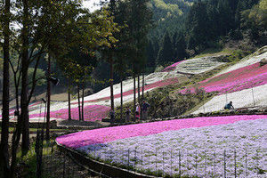 Yamasa04 Yamasa04