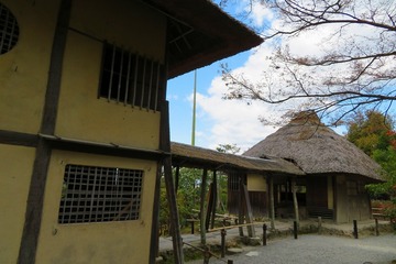 kodaiji20200324-06