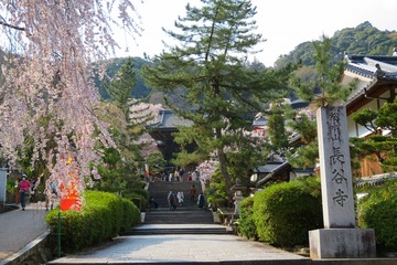 hasedera20190408-01