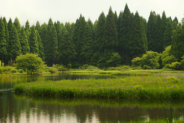 hiraike20180607-01