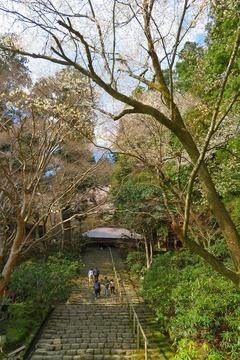 muroji20200404-03