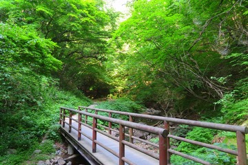 301onokobe20190605