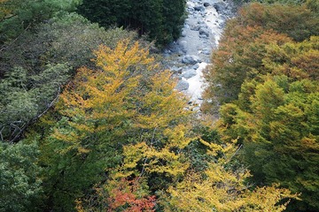 namegotani20181030-08