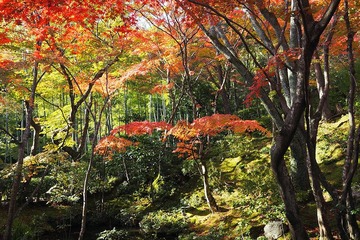 jojakoji20171116-08