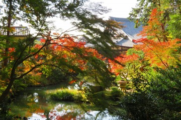 33konkaikomyoji20191117