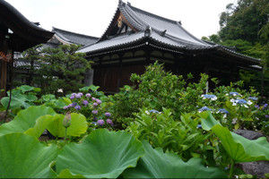 Hokongoin201506261 Hokongoin201506261