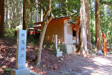 ryuogahuti20190523-01