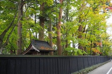 01kakunodate20171020
