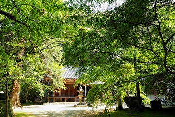 tyogakuji20170507-04