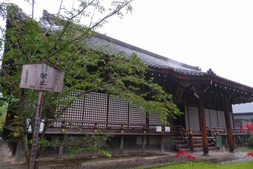 kajuji20200630-02