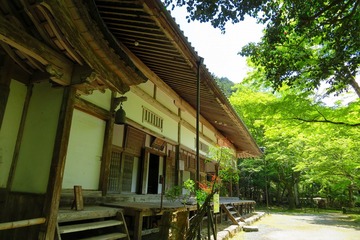 kogenji20190508-04