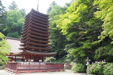tanzan20170714-7