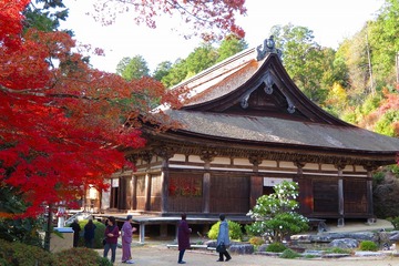 22zensuiji20191126