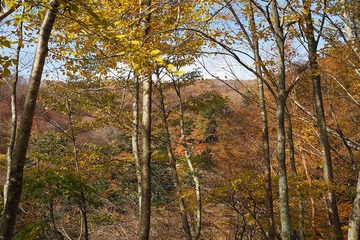 skyline20171107-19