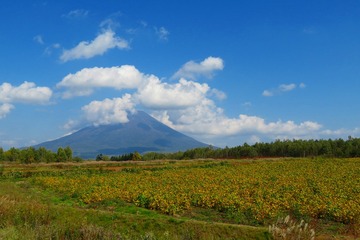 20yoteizan20190930