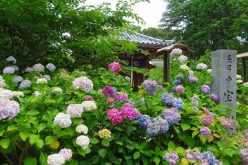 tyokyuji20190628-03