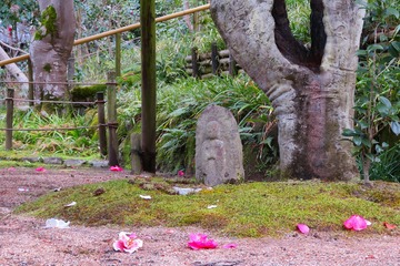 byakugoji20200315-04