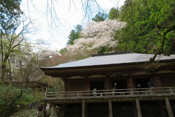 muroji20200404-04