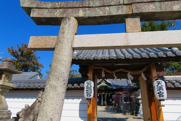 sugahara20200211-01