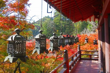 tanzanjinja20191118-09