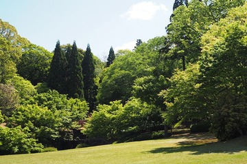 kokaido20170504-3