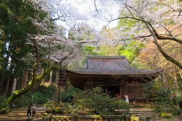muroji20200404-05