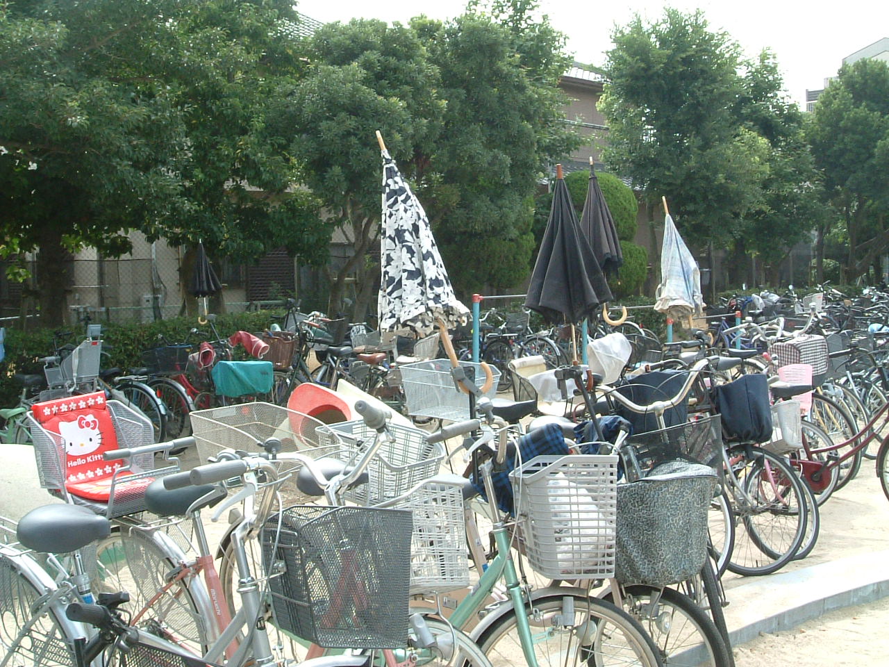 1 さすべえ 在京関西人日記