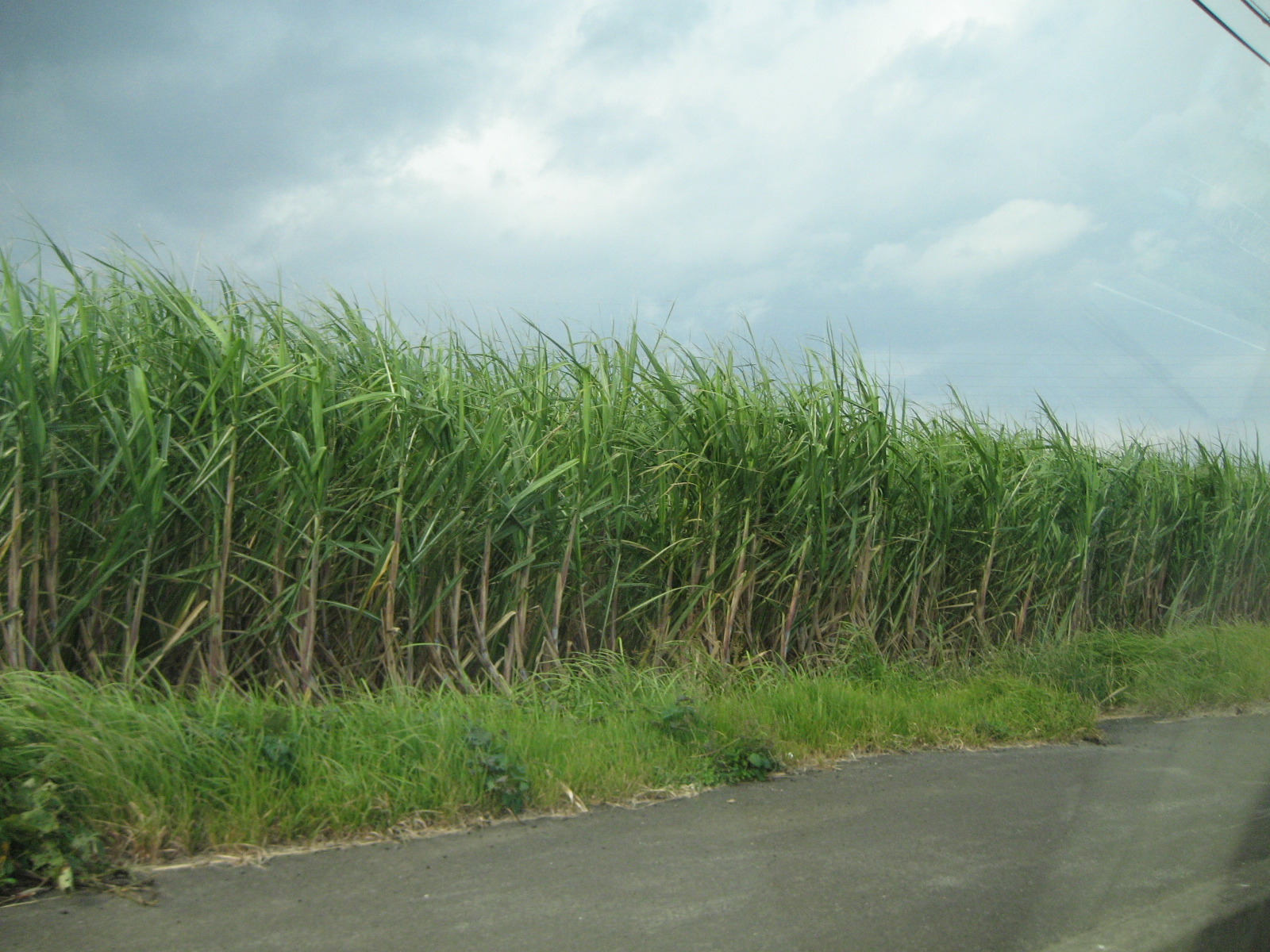 種子島旅行 Drummer Ka Zuの日記