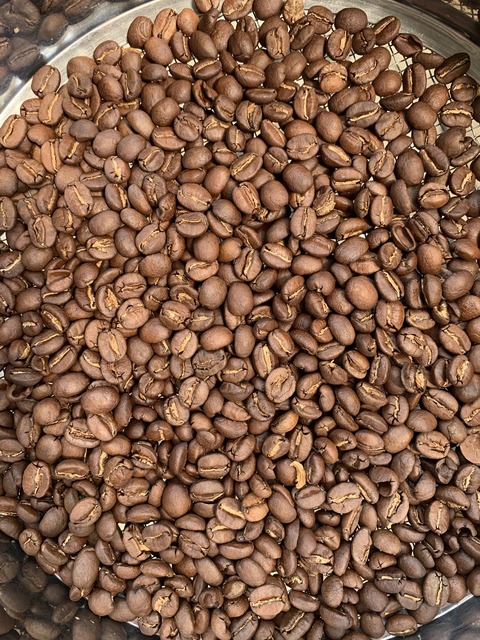 ケニアまき直し1回目