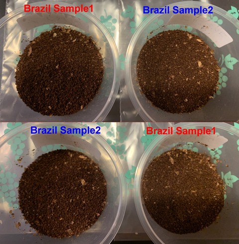 Brazil_Samples_珈琲粉