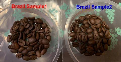 Brazil_Samples_焙煎豆