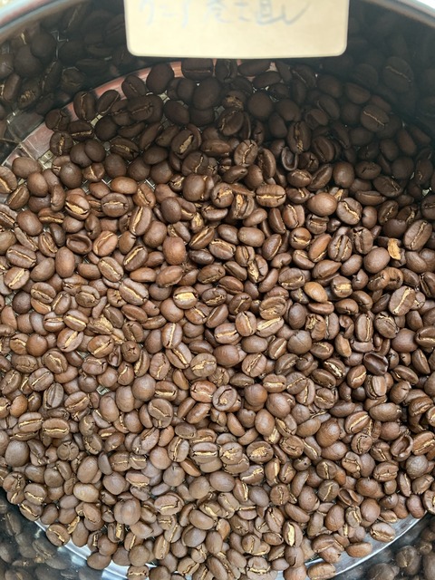 ケニアまき直し2回目