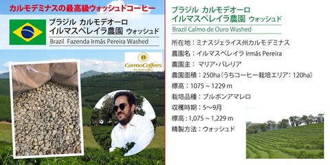 ブラジル・イルマスペレイラ珈琲