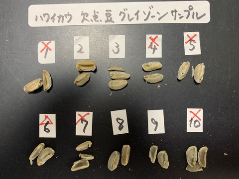 ハワイカウ・グレイゾーン正解