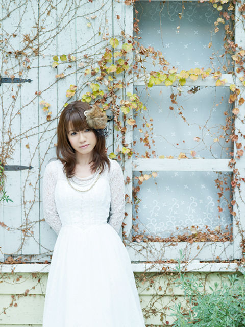 アニサマ13 アーティスト追加発表 8 23 アイマスシンデレラガールズ 藤田麻衣子 8 24 アイマスミリオンスターズ アフィリア サーガ 8 25 這いより隊g出演決定