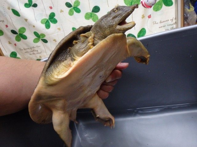 イメージ 1