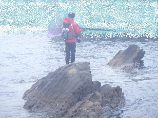 イメージ 1