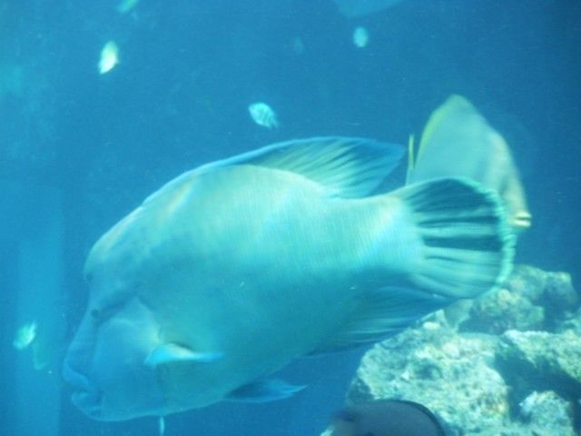 イメージ 5