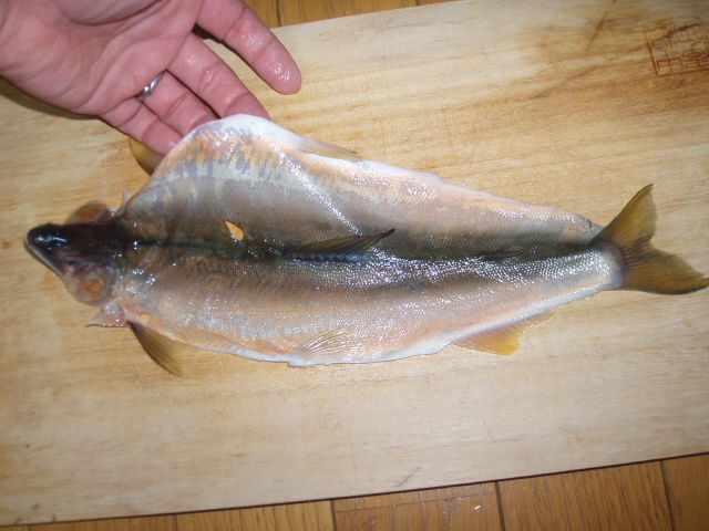イメージ 1