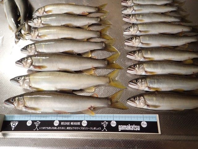 イメージ 5