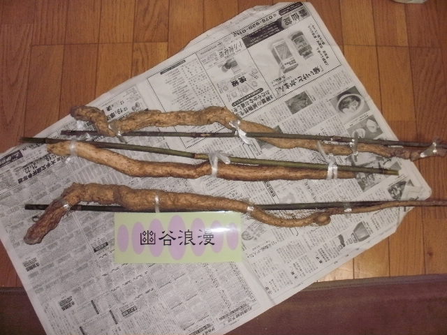 イメージ 2