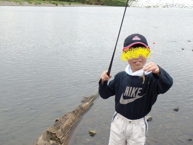 テナガエビ 釣行 ２ In 相模川 鮎 渓流いろいろ釣行記