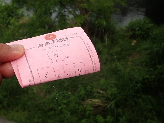 イメージ 1