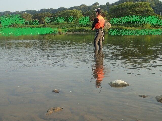 相模の鮎遡上量を確認しようかと 子供と流し毛鉤へ 鮎 渓流いろいろ釣行記 相模の鮎遡上量を確認しようかと 子供と流し毛鉤へ 鮎 渓流いろいろ釣行記