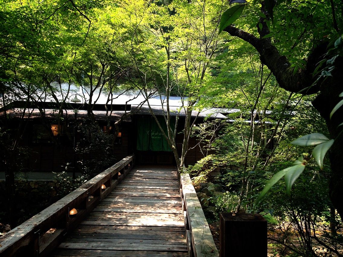 多治見 カフェ 隠れ家 人気 フレンチも 動画 画像で芸能人記事の真相や恋愛の詳細ニュース