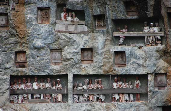 スラウェシ島・トラジャの旅vol,1 : 小松クラフトスペース店主ブログ