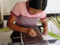ikat2